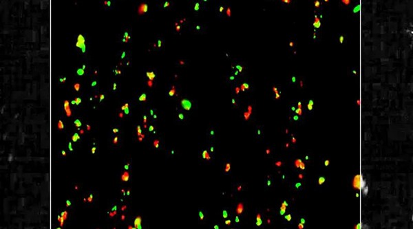 雷尼紹拉曼技術(shù)引領(lǐng)鼻噴劑研發(fā)的革新
