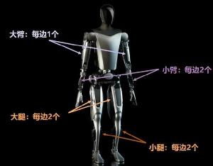 日租1.5萬元！它如何撐起工業(yè)與機器人的未來？
