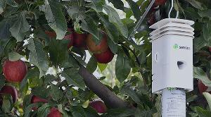 意法半導(dǎo)體 x Semios：以數(shù)據(jù)驅(qū)動(dòng)重塑精準(zhǔn)農(nóng)業(yè)，賦能農(nóng)民智慧決策